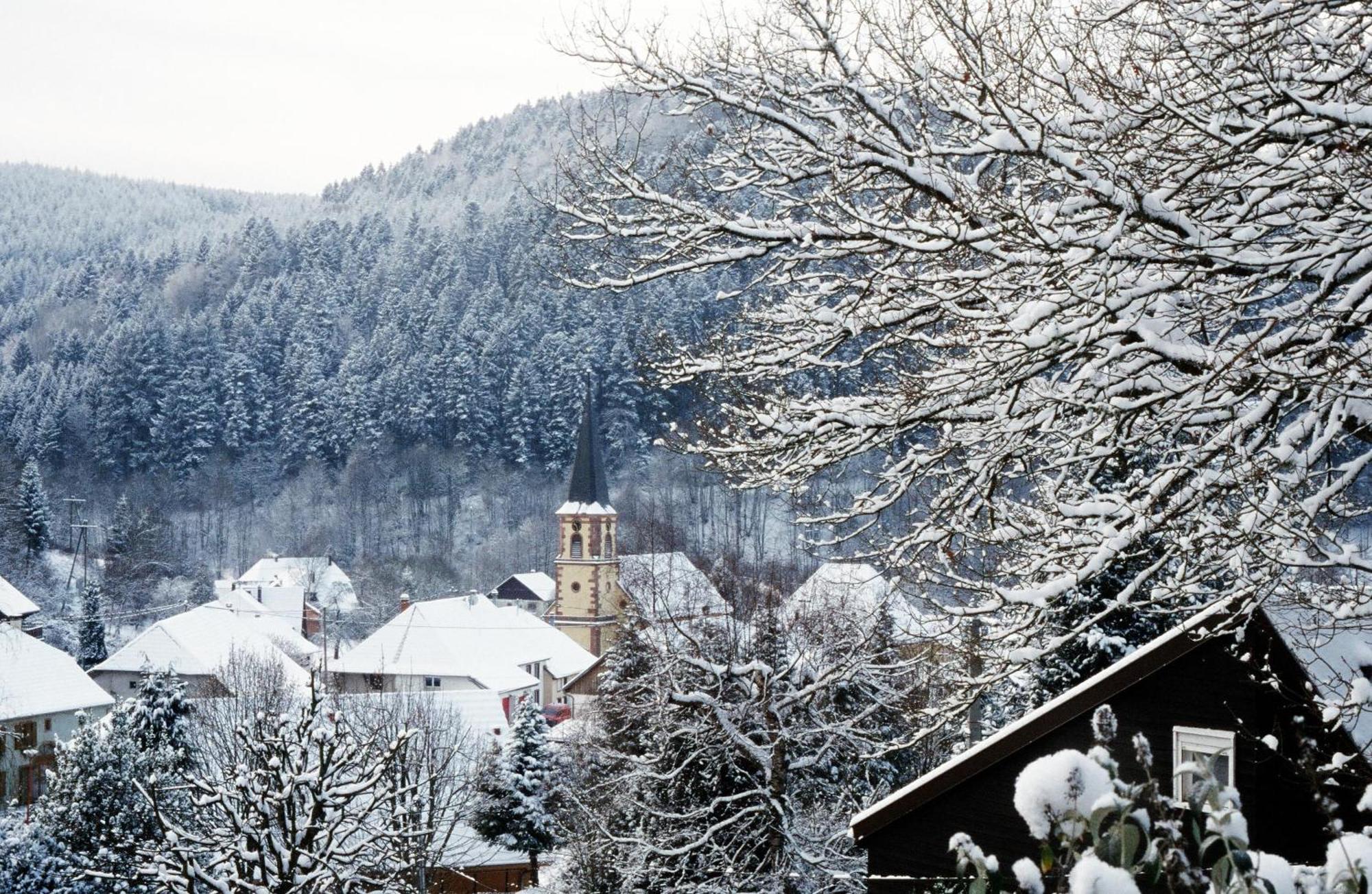 La Cheneaudiere - Hotel Spa - Relais & Chateaux Colroy-la-Roche Dış mekan fotoğraf